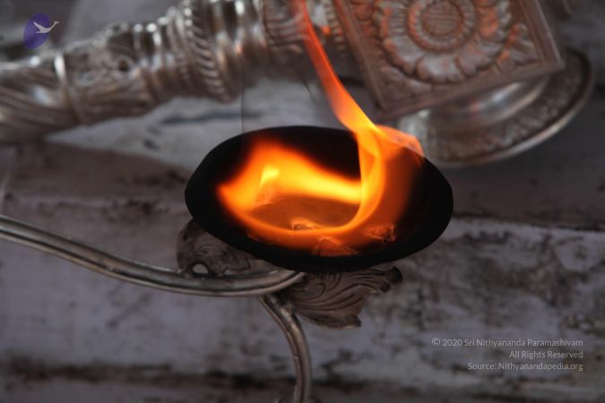 20111217 Photo 1383 1Sgy1osRR942ZdtP6k0sSHxyuEzHJW8TA.JPG