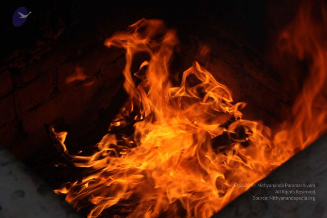 20111217 Photo 1403 12Kv1WEL8RmXFNfM51DmsqUrdIaNCD5bO.JPG