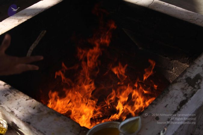 20111217 Photo 1406 1yk000agfsi8a2qpTmIDxnWCXgCxBT6Qs.JPG