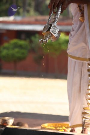 20111217 Photo 1423 1W9By7n1qngjfVAK5ugIKozpXi41a5QK0.JPG