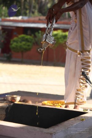 20111217 Photo 1424 1ZJM4Ih0KVD3gKlETElr2l66KOiYe51M3.JPG