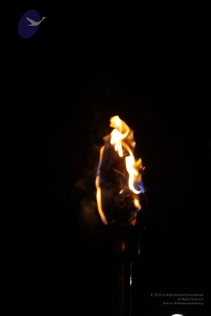 20111217 Photo 1659 12t73ATMTkbwhe3qlScG7dZZbuJq7Opfa.JPG