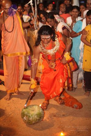 20111217 Photo 1718 1TdUyKepJBDadpigzVZgUcPNb5gXu2pjk.JPG