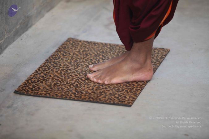 20111218 Photo 1000 1m5AdKeNDteRiUCevthlvyjzFBHlJe5J8.JPG