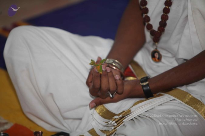 20111219 Photo 1015 1Thm1P7L-ltAznrXcBdKd7dOGybxSuG I.JPG