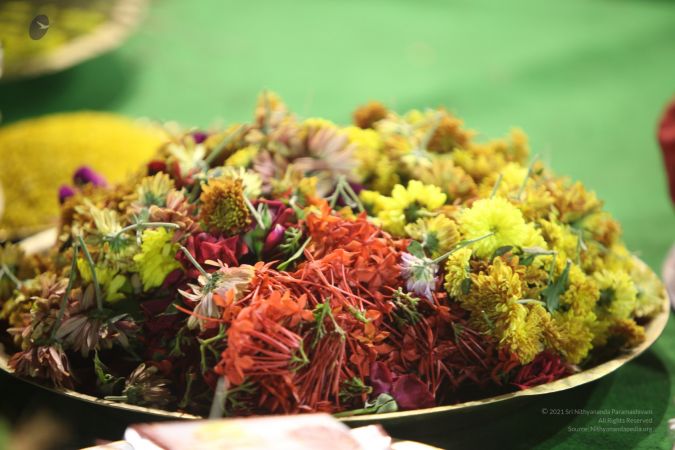 20111220 IMG 0233-080001.jpg