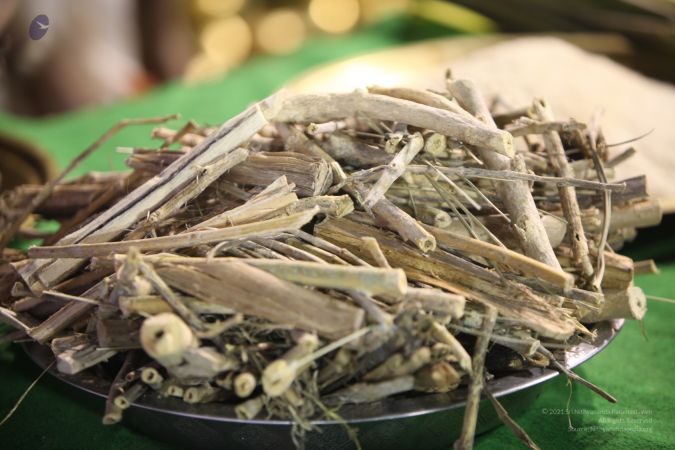 20111220 IMG 0236-110001.jpg