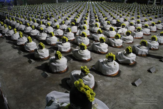 20111220 IMG 3528-99001.jpg