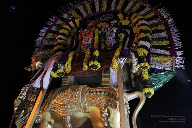 20111220 IMG 3549-113001.jpg