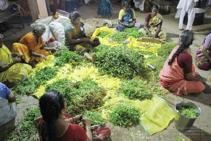 20111220 IMG 3552-115001.jpg