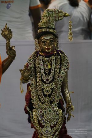 20111220 IMG 3837-740001.jpg