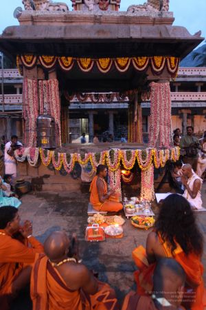 20111220 IMG 8045-180001.jpg