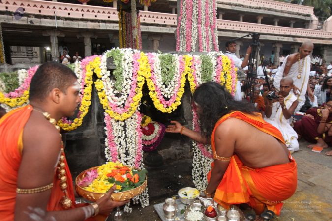 20111220 IMG 8290-400001.jpg