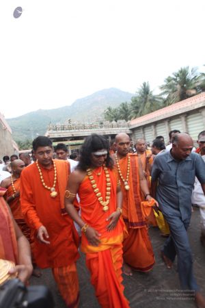 20111220 IMG 8334-437001.jpg