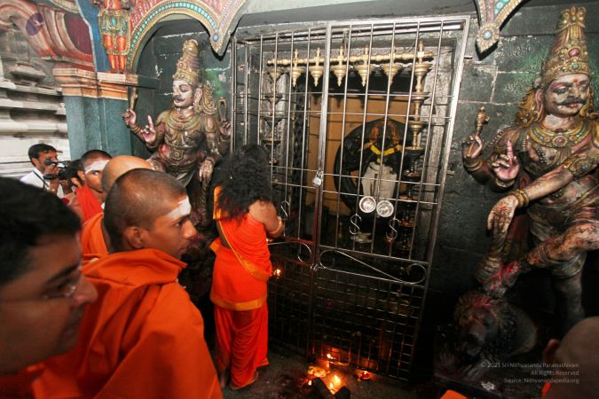 20111220 IMG 8356-452001.jpg