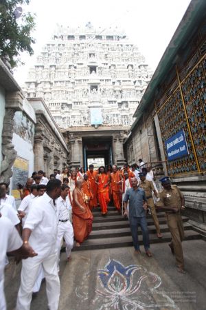 20111220 IMG 8365-461001.jpg