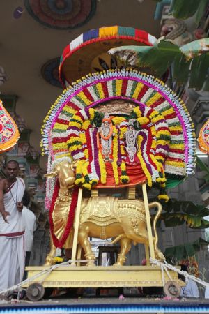 20111220 IMG 8401-486001.jpg