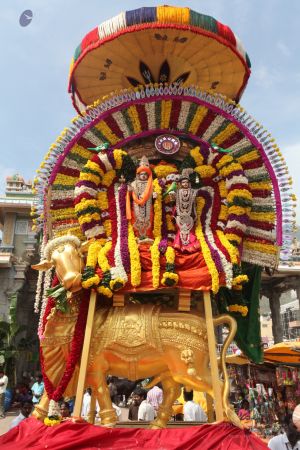 20111220 IMG 9022-14001.jpg