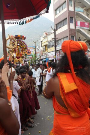 20111220 IMG 9382-23001.jpg