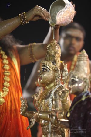 20111220 IMG 9567-122001.jpg