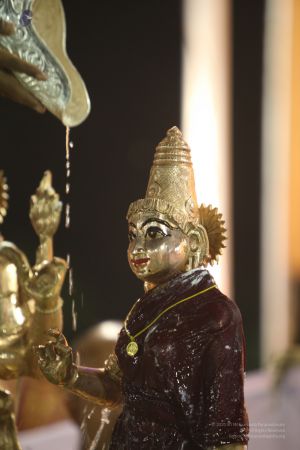 20111220 IMG 9612-167001.jpg