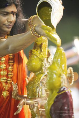 20111220 IMG 9663-218001.jpg