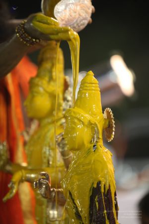 20111220 IMG 9675-230001.jpg