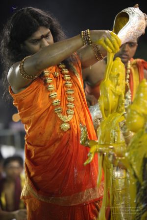 20111220 IMG 9678-233001.jpg