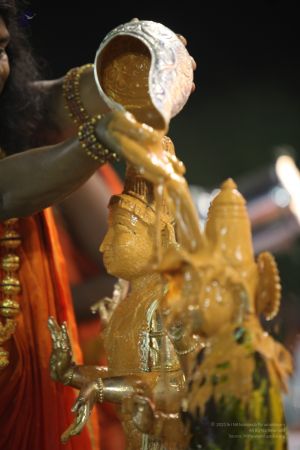 20111220 IMG 9690-245001.jpg