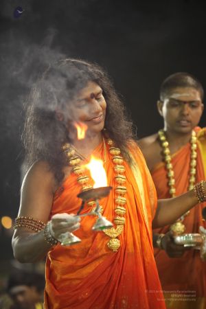 20111220 IMG 9723-278001.jpg