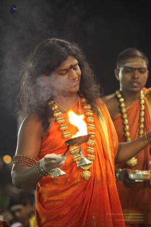 20111220 IMG 9724-279001.jpg