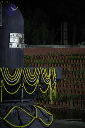 20111222 Photo 1438 1yl4 AhA7zMTLtUUHUC1vTkd6ixGo7t8q.JPG