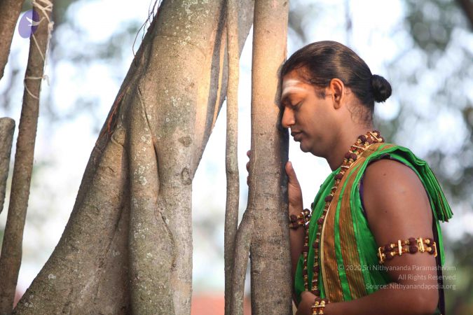 20111223 Photo 1004 16IN3uctDF5iGZqENKYDQ8GknH58zJ2VL.JPG