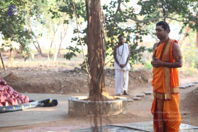 20111224 Photo 1032 1uXqVdBIZpWD3AHW5Z1znDKBy49lDyr6S.JPG