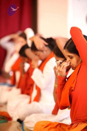 20111225 Photo 1060 1e7vkpwtdpZPWTDymJmyhc-qFONjkTOQr.JPG