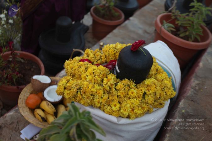 20111225 Photo 1137 1JbGDrX-XH8IrxkmpaZoF2Ic2F2BhLqcb.JPG