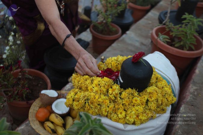 20111225 Photo 1138 1uOyxIV bbwIKFQDoW4lkvDLXh2tCBWVg.JPG