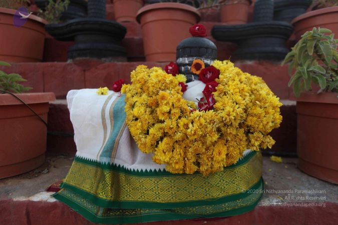 20111225 Photo 1141 1vLQOIywPjm2ehv9fftsInLWEpnFvn2dS.JPG