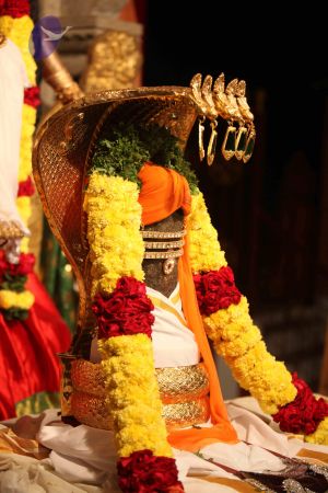 20111227 Photo 1013 1vtl9- dd5HyXEsG6aryguyByCmLspAcM.JPG