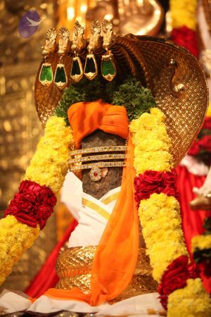 20111227 Photo 1015 1cZgkjkPQSyd6O8n57BYhjky4ox8lYYAM.JPG