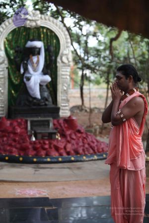 20111227 Photo 1051 17-Ms4IwO5Ij03F3Gctwvml1Fu471REx3.JPG