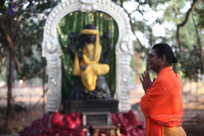 20111228 Photo 1006 19U4OpDehT QU1KXKxzQM1LqjjIavdvpU.JPG