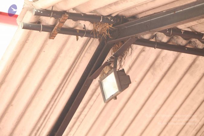 20111228 Photo 1129 1M5qJuFJ2A0PnsnMd6n-agliVKEF Yf-I.JPG