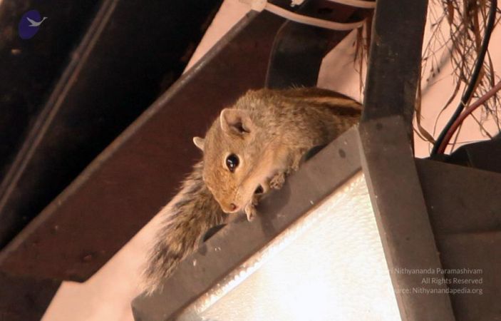 20111228 Photo 1130 1f7Le KAqfSWyxXXtAnY4SVds6tlfWog5.JPG