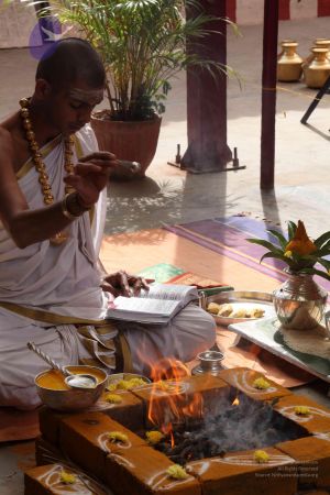 20111228 Photo 1147 1BAu-7Q3PQ9NeIYBg9~Gs6LSmnQpyc6M.JPG