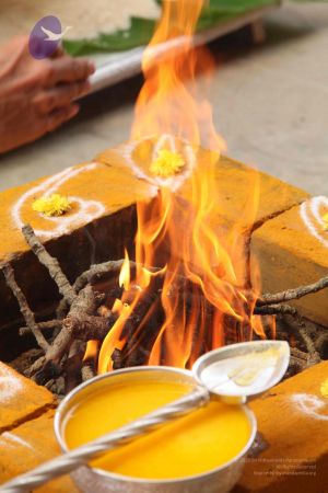 20111228 Photo 1151 1roBtB1nt5TOwT4KkLCZfv5l3fmpgAfmM.JPG