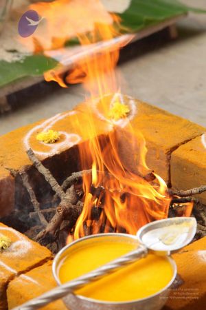 20111228 Photo 1152 1QwQAx60G1DJ18KhXtXgyzojA7cKFvAlJ.JPG