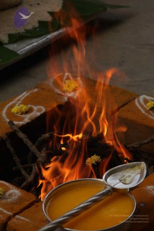 20111228 Photo 1155 1fzyBJ4srU0S6ZRI-RdAfnCZ7Ns 6v6hI.JPG