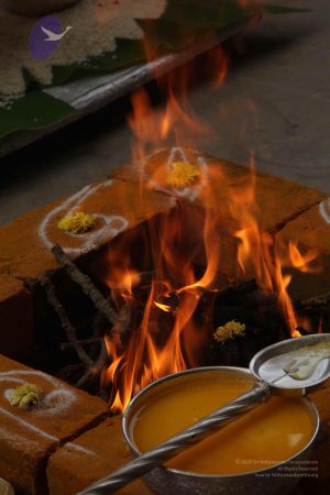 20111228 Photo 1156 1Xx1 CGcOCYfs3iqGIkuLGC7hLbVjOJvx.JPG