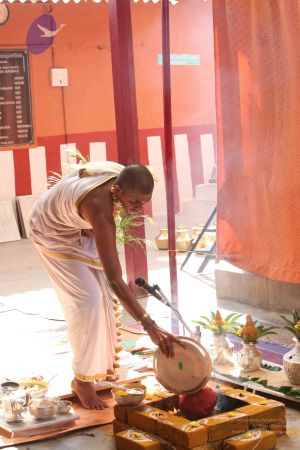 20111228 Photo 1175 1NJwbaNcqWEf9nQ379Rr2wDJ8yNx9cXOJ.JPG